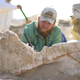 Archaeologist Ryan Wendel brushes sand off the sphinx.